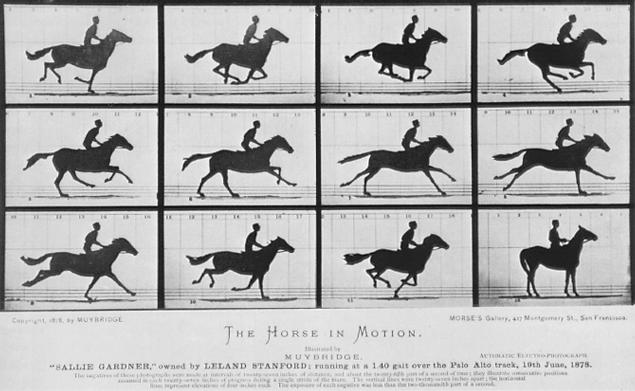 Eadweard Muybridge, Galloping Horse