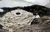 Scene from RIVERS AND TIDES: ANDY GOLDSWORTHY WORKING WITH TIME
