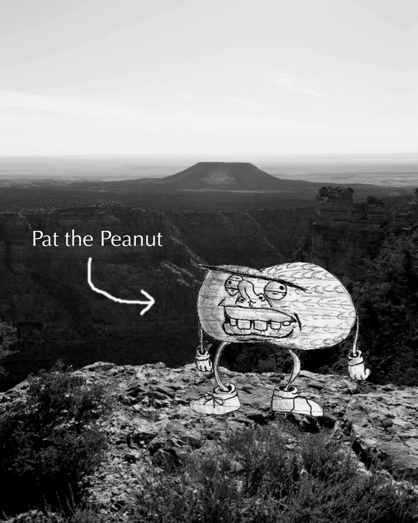 Pat the Peanut